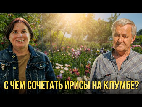 Видео: Выращиваем ирисы