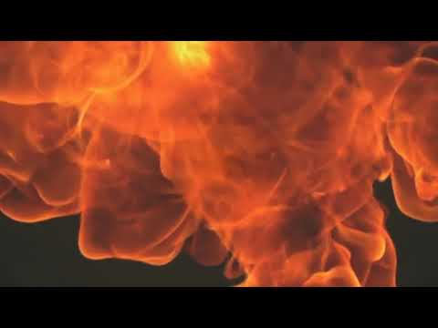 Видео: Неправильная энциклопедия. Том 2.1