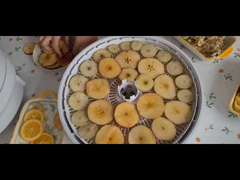 Видео: Фруктычипсы. Жемістерді үй жағдайында кептіру.##фрукты ##фруктычипсы