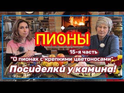 Видео: Посиделки у камина. Часть 15. О пионах с крепкими цветоносами / Сад Ворошиловой