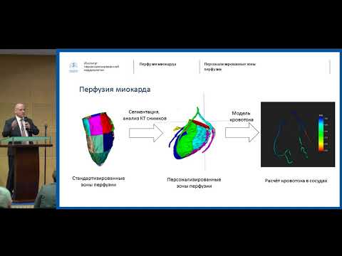Видео: Математическое моделирование в кардиологии: далеко ли мы от применения на практике?