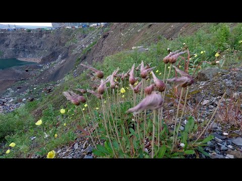 Видео: Новым маршрутом по знакомым местам