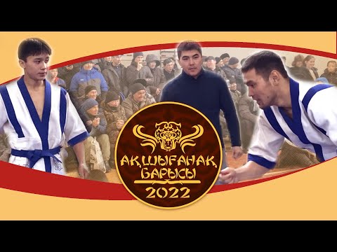 Видео: Ақшығанақ барысы - 2022  Қазақша күрес