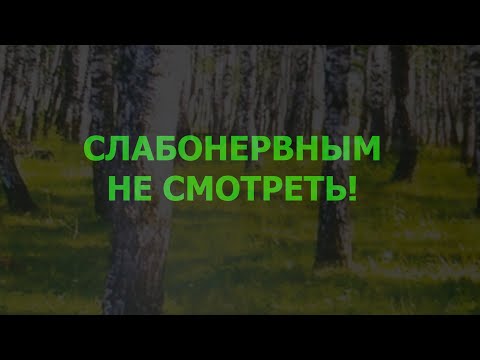 Видео: заточка в 2 камня, подъём угла 12/02/24
