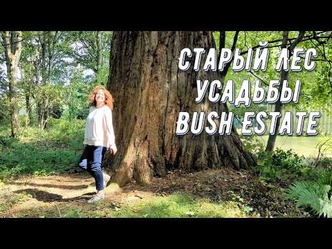 Видео: Прогулка по старинной усадьбе Bush Estate