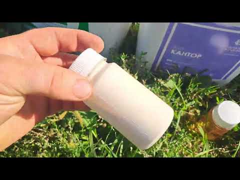 Видео: Замена сверхпопулярного фунгицида СВИТЧ. Подробно. Клеймор, Приам,Кантор