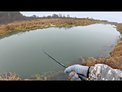 Видео: ДА сколько здесь РЫБЫ в этой маленькой РЕЧКЕ?!! Рыбалка весной на спиннинг.