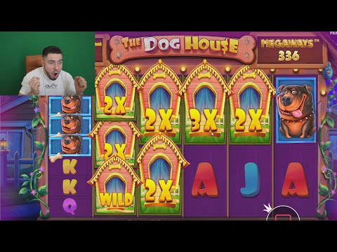 Видео: ПОЙМАЛ 4 ЛАПЫ в ДОРОГОЙ БОНУСКЕ ALL IN DOG HOUSE MGW