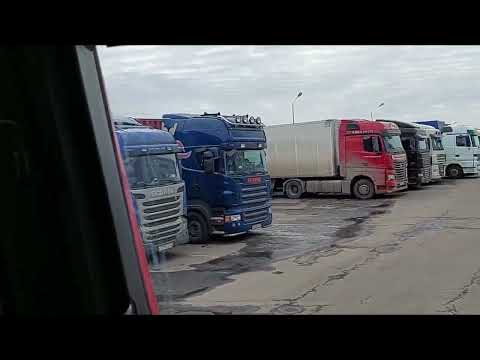 Видео: ПОДВЯЗЫВАЮ ЛАПЫ