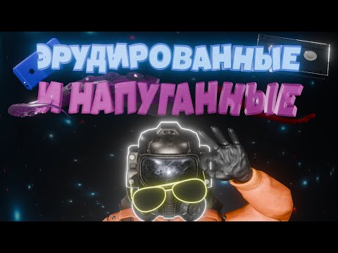 Видео: А КАЗАЛИСЬ УМНЫМИ