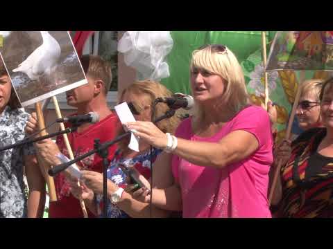 Видео: Праздник агрогородка Ананчицы