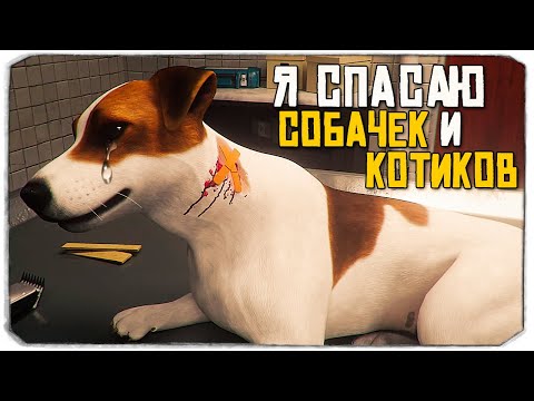 Видео: Я СПАСАЮ СОБАЧЕК И КОТИКОВ