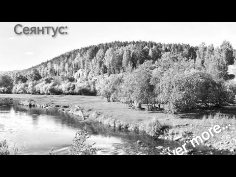 Видео: Сеянтус
