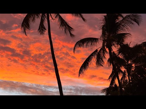 Видео: 7 день и отъезд домой 