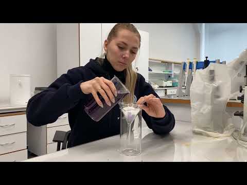 Видео: Мастер-класс "Создание индикатора из красной капусты"