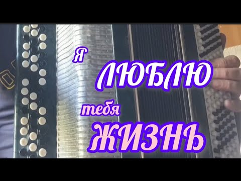 Видео: Я лЮблЮ тебЯ жизнь