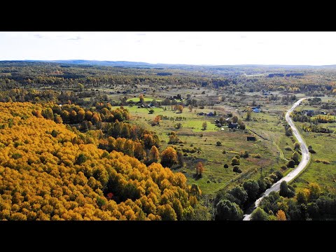 Видео: Новострой - обзор посёлка лесорубов