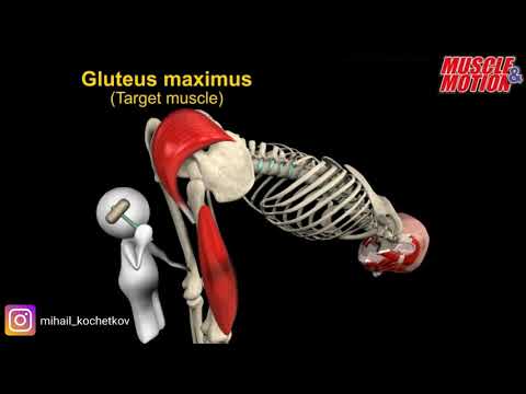 Видео: Приседания