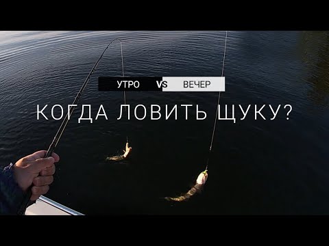 Видео: Когда лучше ловить щуку, утром или вечером?