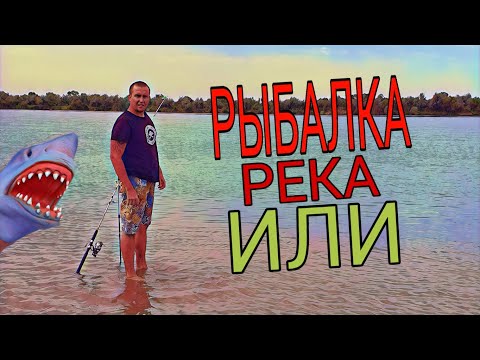 Видео: Рыбалка на реке Или. 2020. Сазан, судак, сом, карась, вобла.