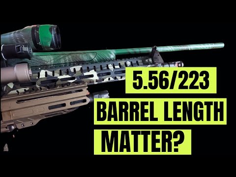 Видео: 5.56/.223 — имеет ли значение длина ствола??? 🤔🤔🤔
