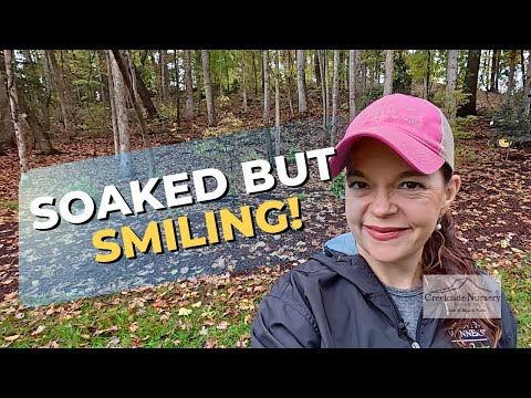 Видео: Промокшие, но улыбающиеся: сегодня идеальный день посадки!