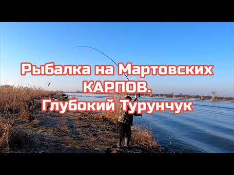 Видео: Рыбалка на мартовских карпов , Глубокий Турунчук .