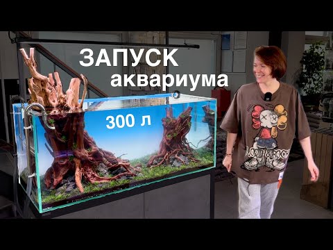 Видео: ЗАПУСК АКВАРИУМА 300 литров | Фильтр MASHA BLOOM | Аквариумные растения | Коряги для аквариума