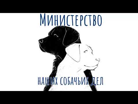 Видео: #1: Собаки-помощники: от времен динозавров до наших дней