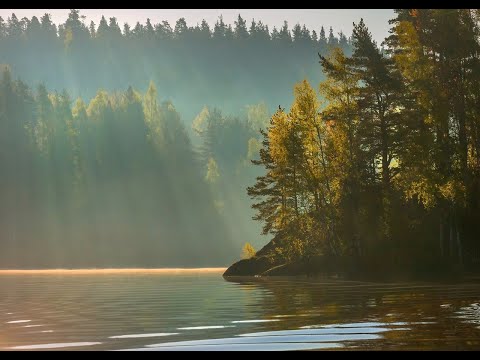 Видео: Так оно и было.