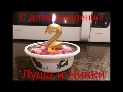 Видео: Луша и Никки с днем рождения!