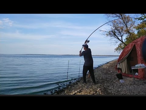 Видео: Рыбалка...на карачунах