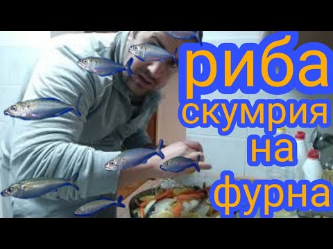 Видео: Риба и защо е ям?/Скумрия с картофи(зеленчуци) и лимон на фурна