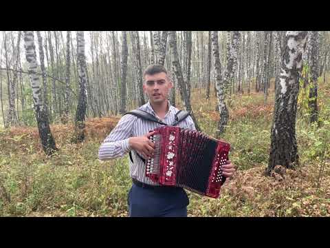 Видео: «Пускай ты выпита другим» С.Есенин на гармони 🪗