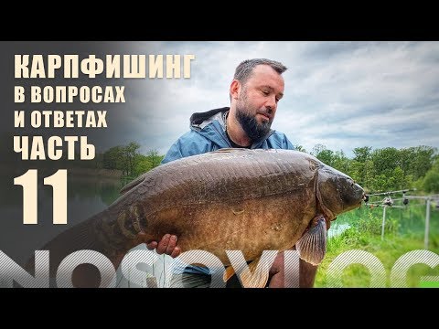 Видео: Карпфишинг в вопросах и ответах, А. Колесников, часть 11