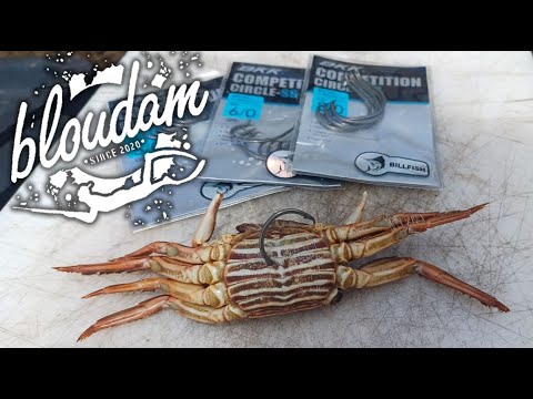 Видео: Идеальная наживка для КРЕКЕРА МИДИЙ и ГАЛЬДЖОЕНА