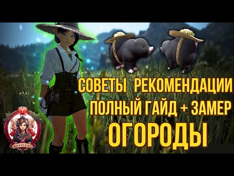 Видео: [BDO] 🎑 ВСЕ ПРО ОГОРОДЫ / ПОЛНЫЙ ГАЙД / ЗАМЕР / ЗАРАБОТОК / СОВЕТЫ / РЕКОМЕНДАЦИИ