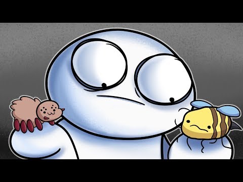 Видео: Пауки и Пчелы