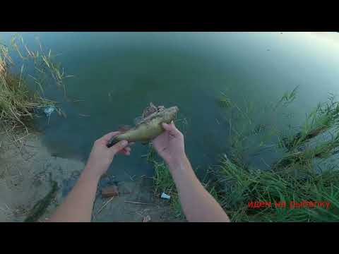 Видео: кастинговая сеть и раколовка что я впоймал?..... у меня шок смотри до конца