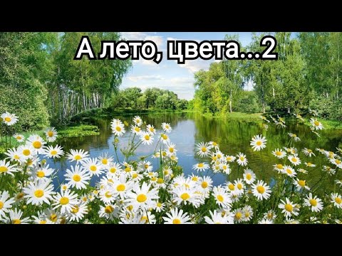 Видео: СП А лето цвета...2. Отчёт первый