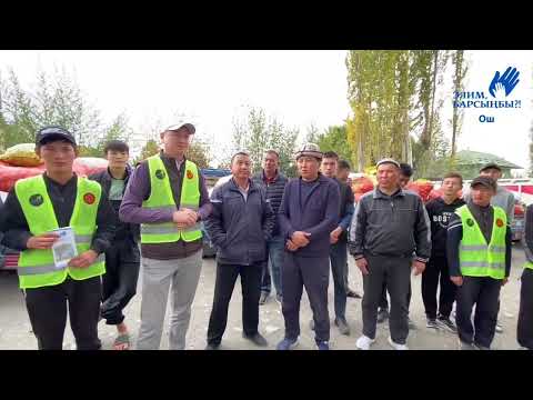 Видео: Ноокат району 🇰🇬