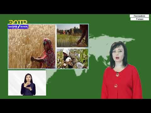 Видео: 7-класс | География  | Природные зоны Евразии