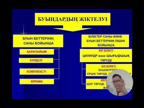 Видео: Синдесмология