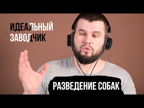 Видео: Почему я больше не планирую заниматься разведением породы Шиба Ину
