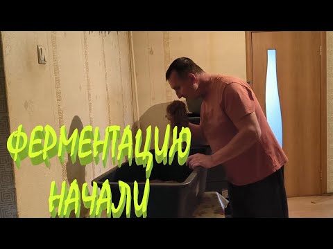 Видео: ЖИЛКУЕМ ТАБАК, подстраиваясь под погоду. Начали ФЕРМЕНТАЦИЮ. ОГОРОД К ЗИМЕ готов. ЖИЗНЬ В ДЕРЕВНЕ.