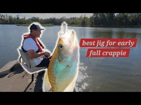 Видео: Лучшая наживка для ловли краппи ранней осенью