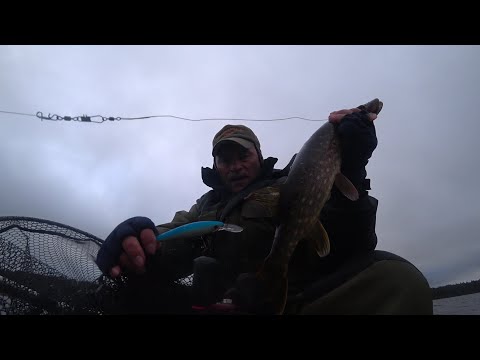 Видео: Ермиловская бухта. Рыбалка 29.10.25.