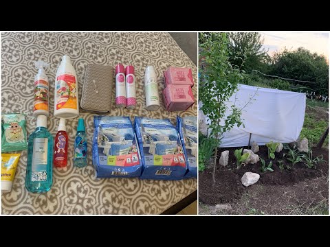 Видео: Дача/ливень 😳/ посылка