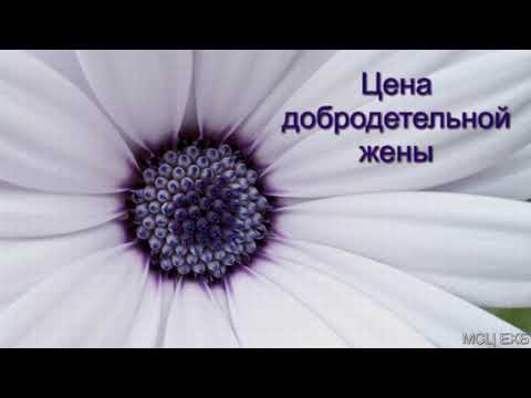 Видео: "Цена добродетельной жены". И. И. Легеза. МСЦ ЕХБ.