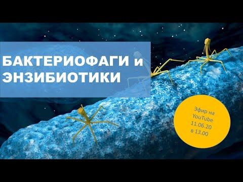 Видео: Бактериофаги и энзибиотики. Что это такое? Часть 1.